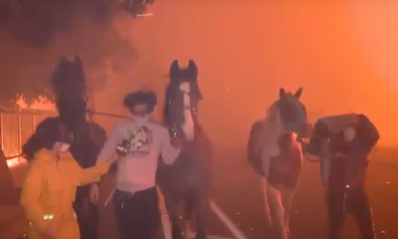 Powerful Video of Horses Being Rescued from California Fires (Video)