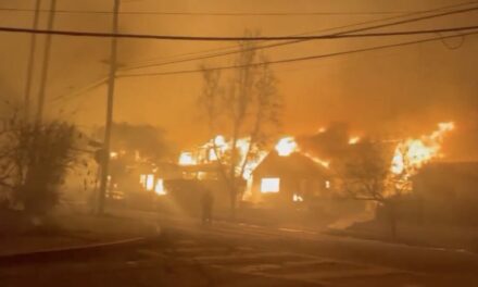 WAYNE ROOT: Wildfire Alone Didn’t Destroy Los Angeles. How the Dumb, Radical, Left’s 6 Favorite Obsessions Made the Fire Unstoppable- Woke DEI, Climate Extremism, Homelessness, Vaccines, Open Borders & Ukraine