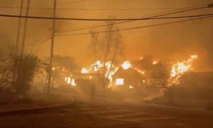 State Farm Canceled Hundreds of Pacific Palisades Homeowners’ Policies Before Devastating Wildfire Strikes