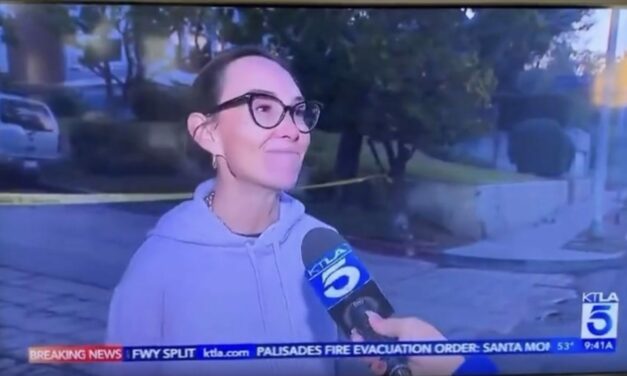 Local Claims “Like a Hundred People” Were Looting Affluent Neighborhood in LA – 20 Suspects Arrested as of Thursday Morning (VIDEO)