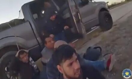 Biden Border Chaos – Texas DPS Discover Six Illegal Aliens in Truck After Stopping for Assistance on Roadside (VIDEO)