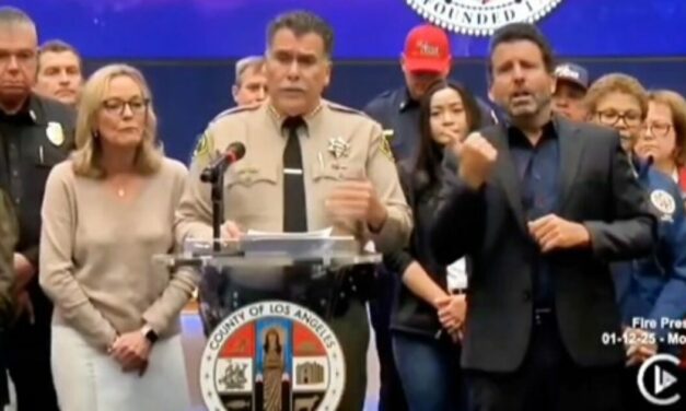 LA County Sheriff Drops Alarming News: Looters Are Dressing up as Firefighters to Rob Homes as Wildfires Continue to Rage (VIDEO)