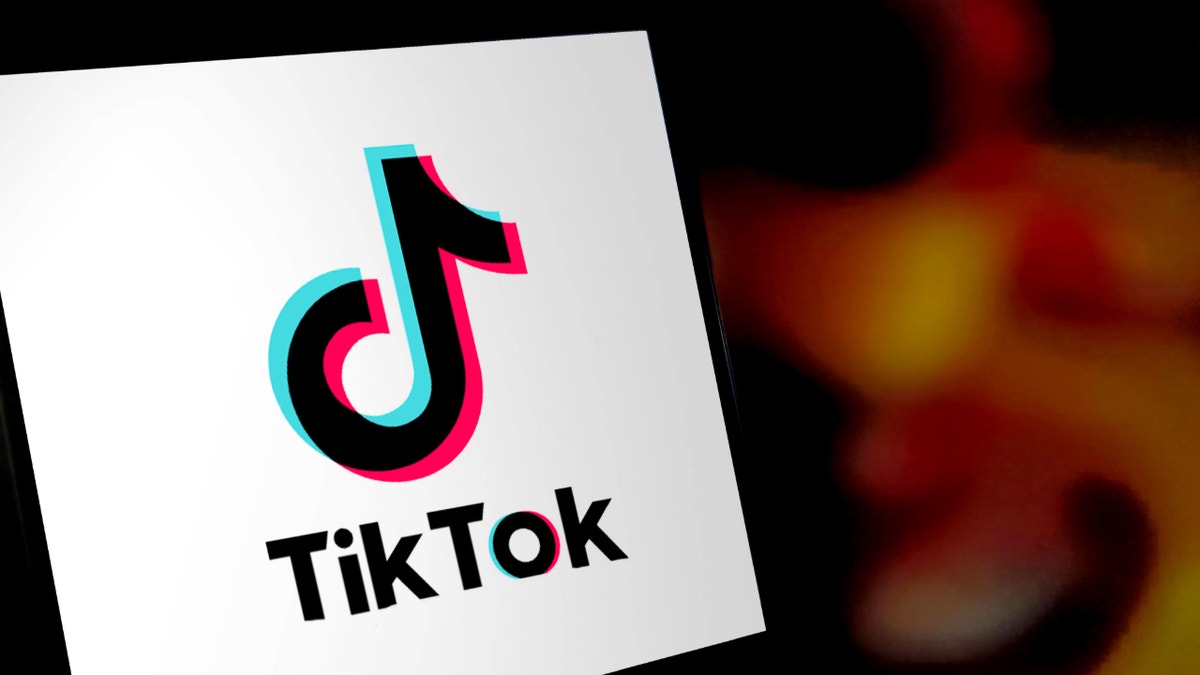 A TikTok logo is displayed on a smartphone in Suqian, Jiangsu province, China, January 9, 2025. (Photo by CFOTO/Sipa USA)