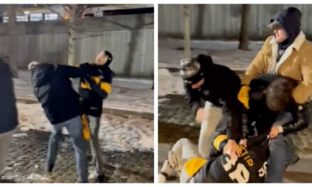 Steelers Fans Kick The Crap Out Of Each Other After Loss To The Ravens