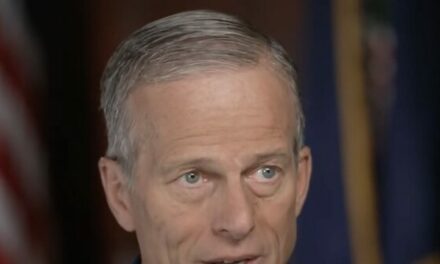 Thune Questions if It Is ‘Realistic’ to Deport Everybody in the Country Illegally