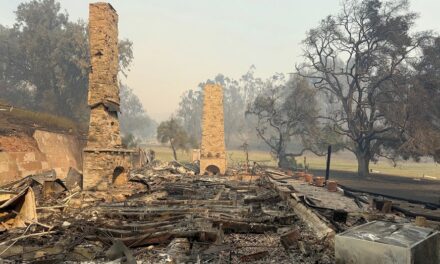 Photos from California wildfires show shocking before and after at historic state parks: ‘Devastating’