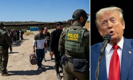 Significant majority believe Trump will ‘control illegal immigration’: poll