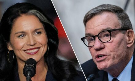 Dems accused of ‘stonewalling’ Tulsi Gabbard confirmation after GOP demands quick hearing