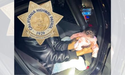 California Highway Patrol gets in some monkey business during routine stop