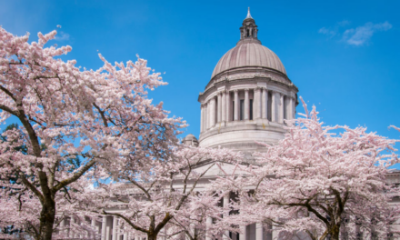 Washington state Democrats accidentally email their ‘radical’ tax plan to entire Senate