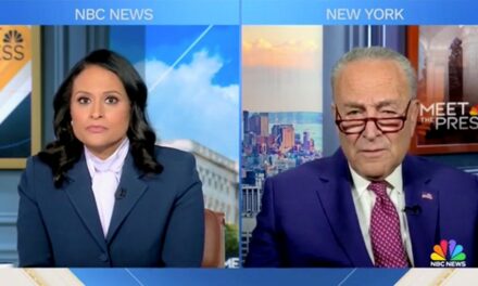 Chuck Schumer confronted with old clip of himself declaring Biden’s decline ‘right-wing propaganda’