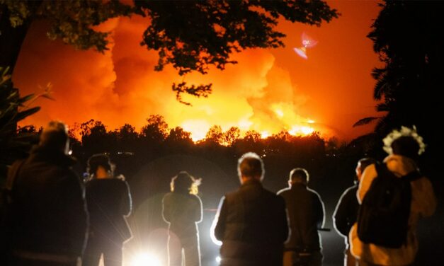 Los Angeles wildfires: City’s infamous red tape preventing private security from helping homeowners, firms say