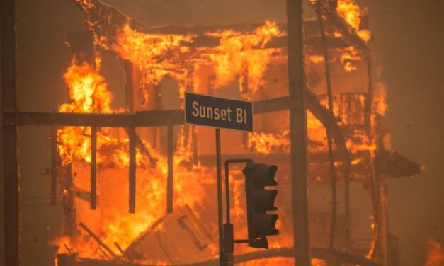 DAVID MARCUS: In California, environmental activism backfires into a blazing hellscape