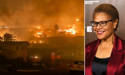 LA Times owner blames mayor for cutting fire department budget ahead of wildfires: ‘Competence matters’