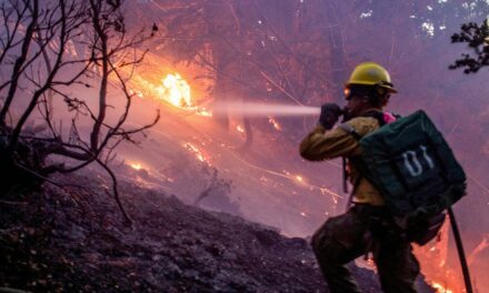 Essential phone numbers for Los Angeles-area residents and how you can help them