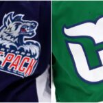 Minor League Hockey Team Tips Its Cap To Hartford Whalers With Amazing Jerseys