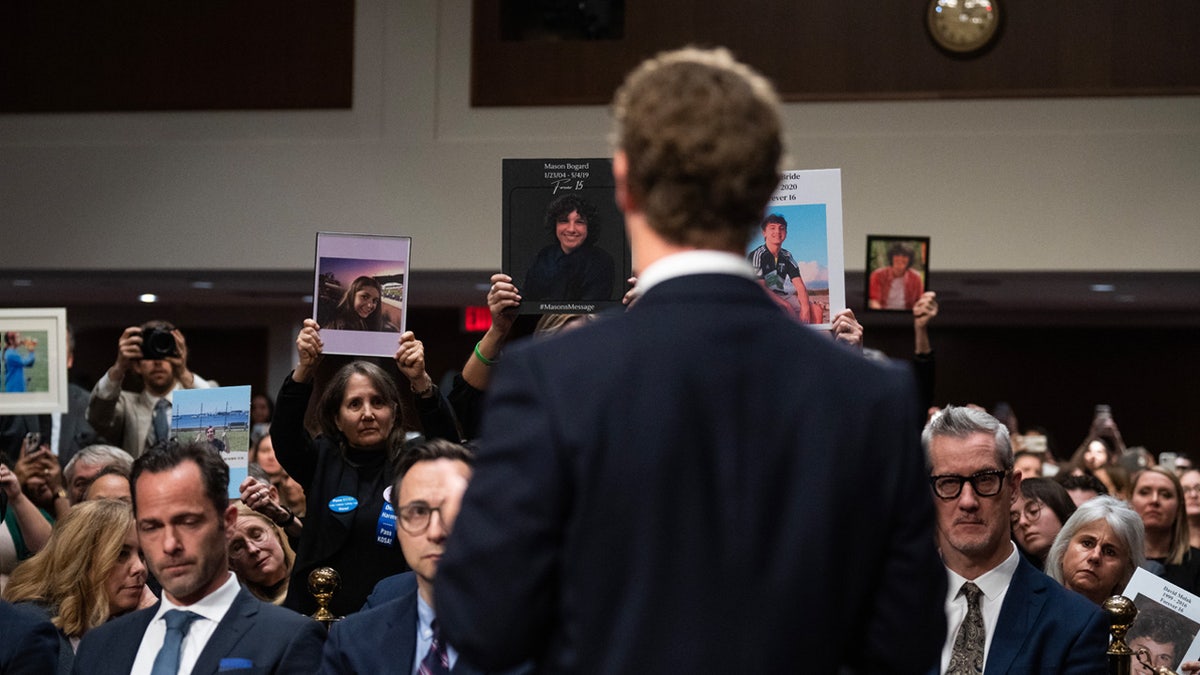 Zuckerberg on Capitol HIll, seen from behind.